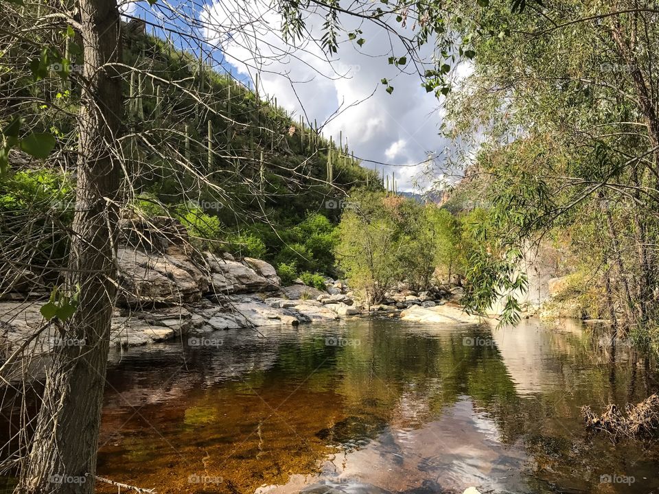 Nature Mountain Landscape - Sabino Canyon in Tucson, Arizona 