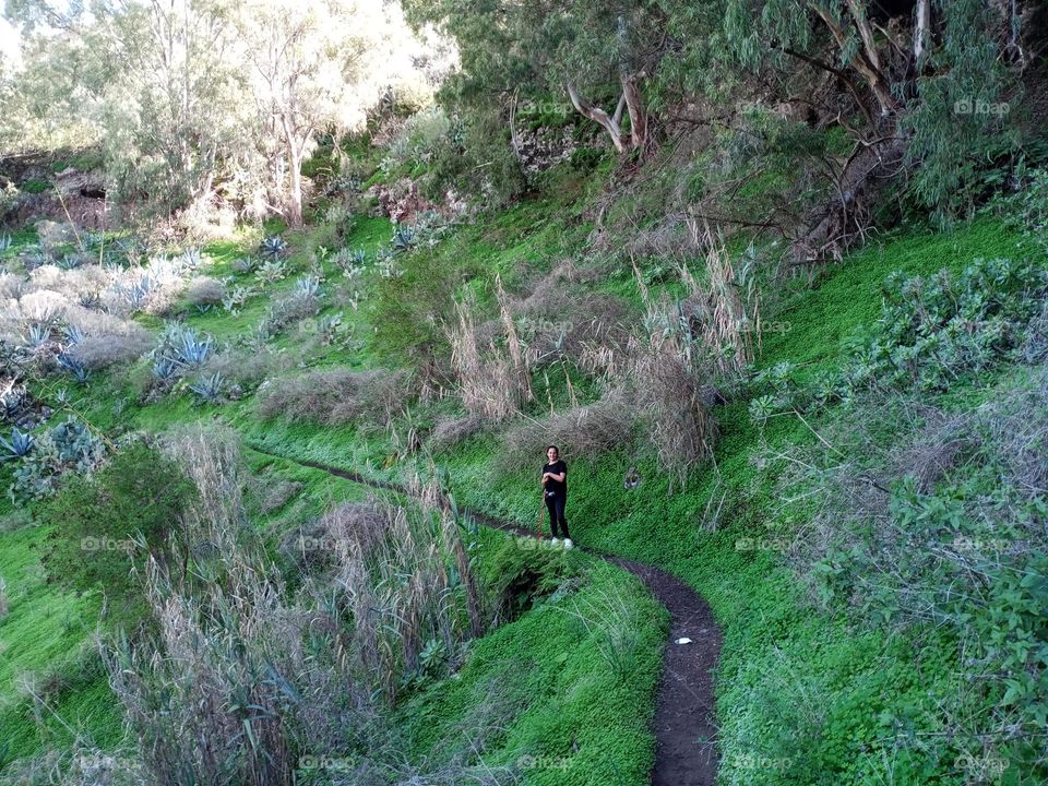 barranco Teror gran canaria