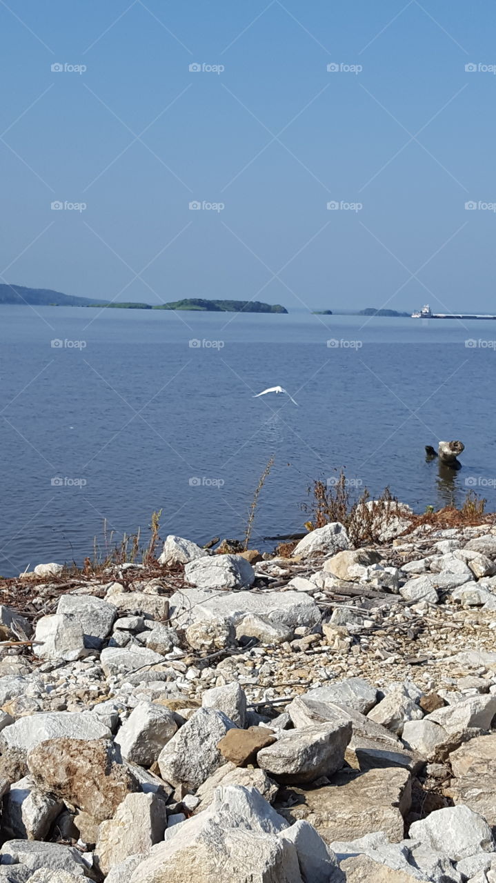 Mississippi river view