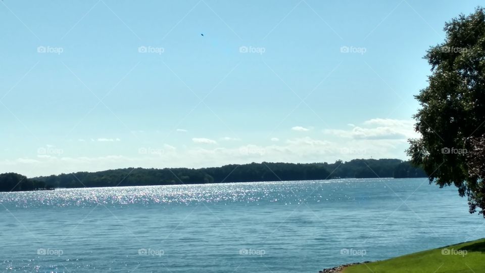 Water, Tree, Landscape, Daylight, No Person