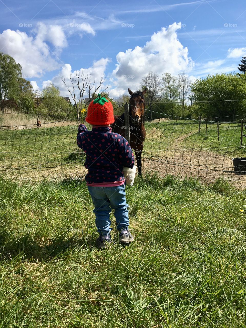 Kid and horse