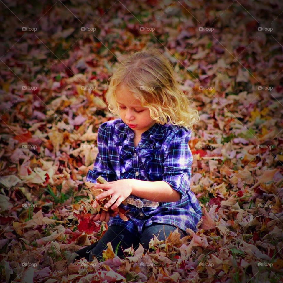 Autumn Leaves. Four year old little girl examining the fallen leaves. 