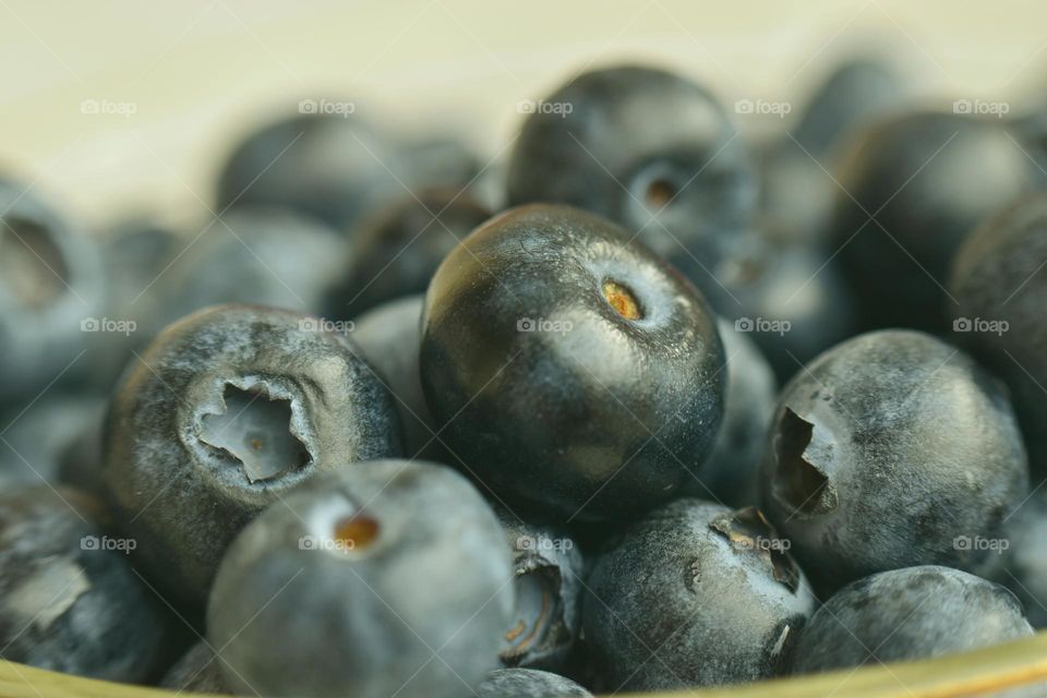 closeup of blueberrys