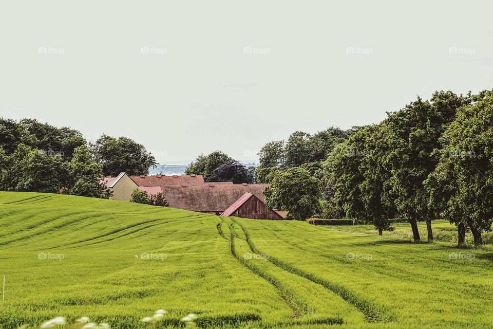 Landscape view at summertime in the countryside 