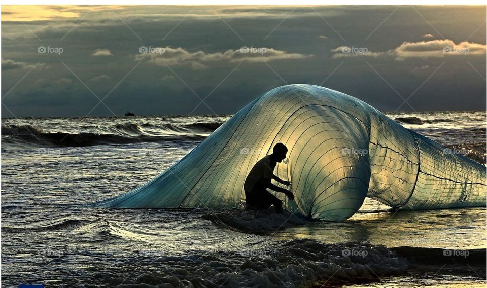 Watery Fish Net