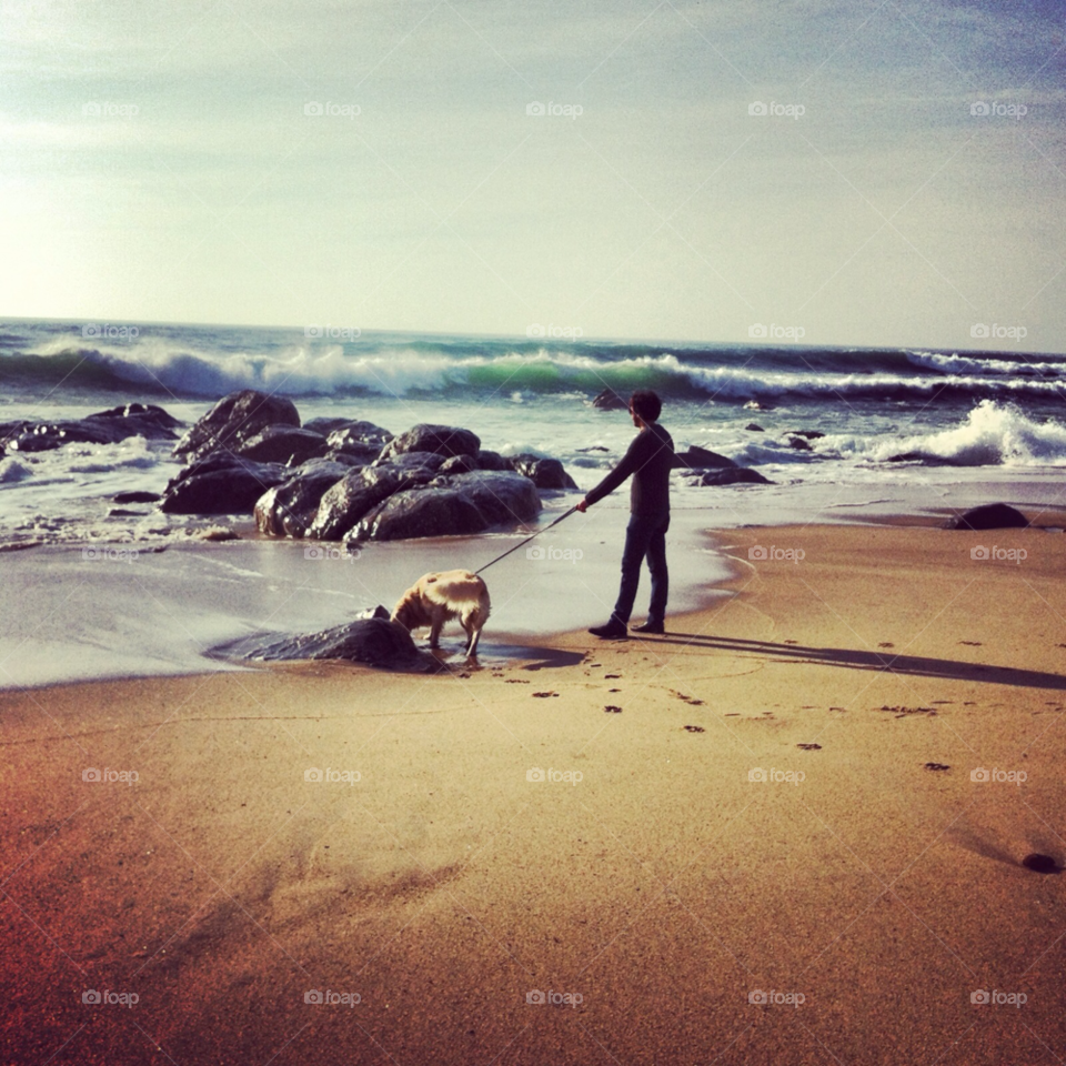 porto beach pretty dog by Zita