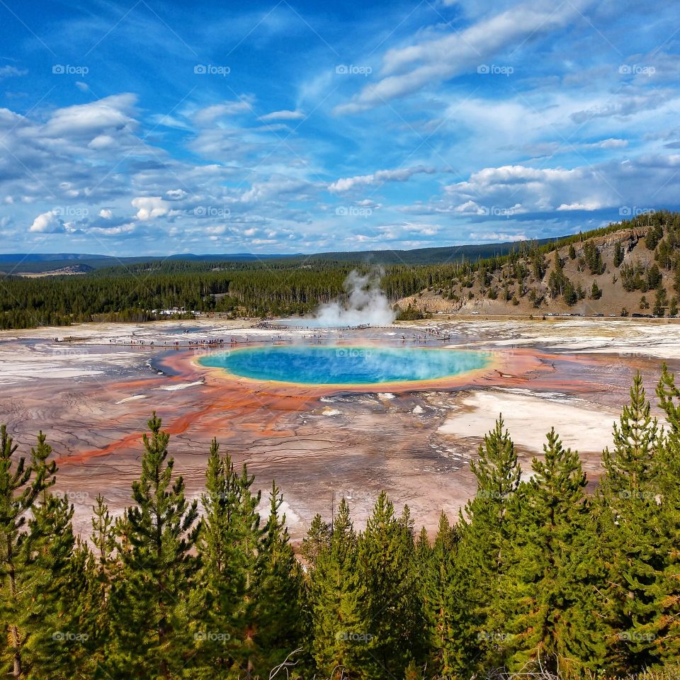 prismatic spring