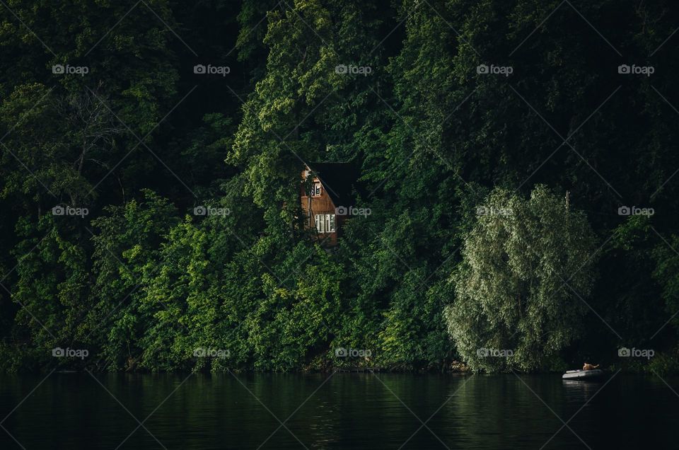 A cottage on a hill in a lakefront forest