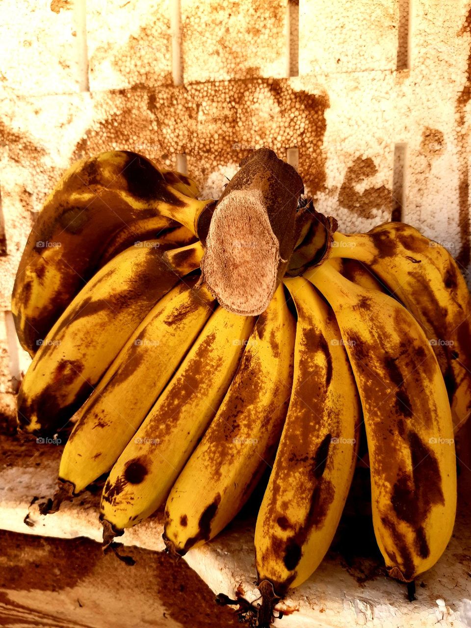 A bunch of ripe bananas with brown spots, placed in a worn-out container with a textured background, reflecting natural decay and ripening. Captured in Marrakech on February 8, 2025.