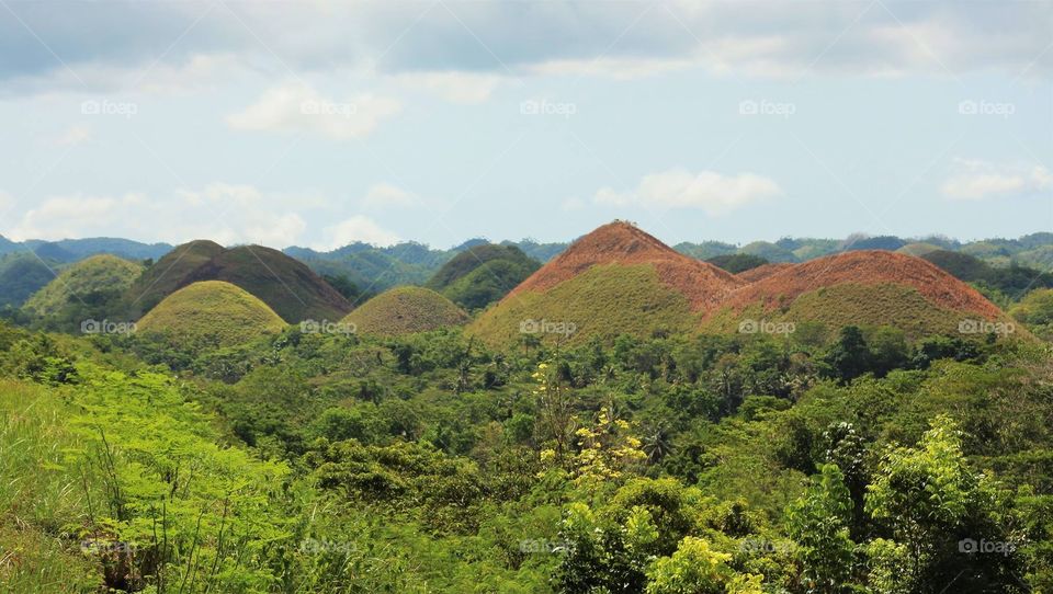 Chocolate hills
