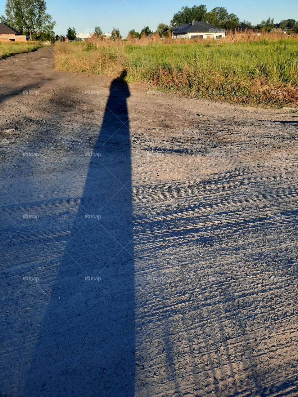 long shadows at early morning walk in meadow