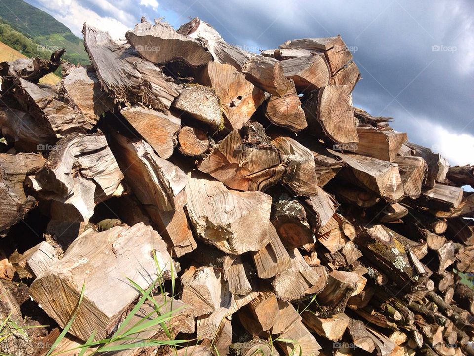 sky nature wood by apeksa