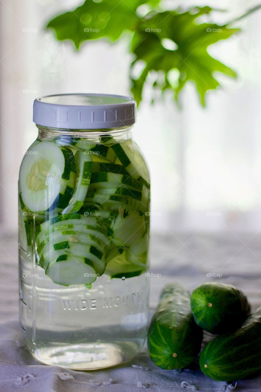 Cucumber-infused water in a half-gallon mason jar with cucumbers on a white dish towel, blurred backlit background and plant leaf visible