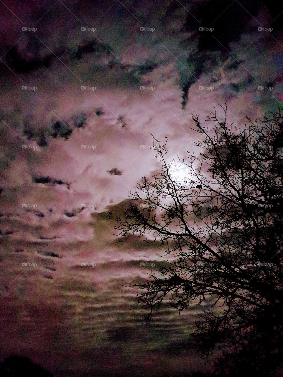 the sky at night