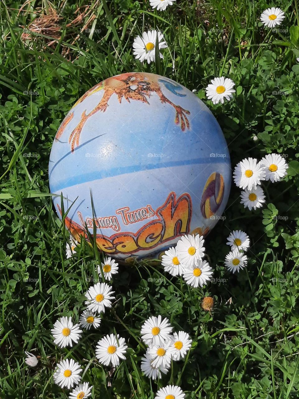 children's ball on the lawn with daisies