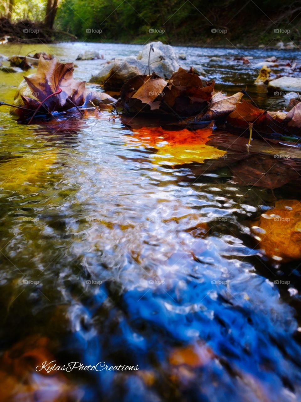 First sign of autumn and the beautiful colors 
