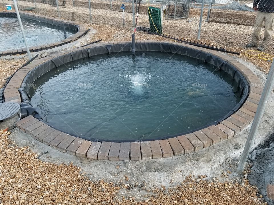 Sewage, H2 O, Dug Out Pool, Water, Pollution