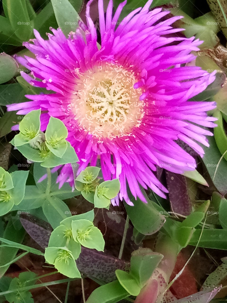 Sur la plage de Kelibia