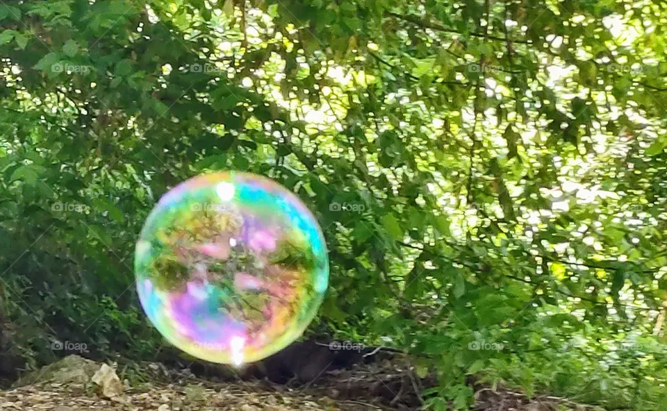 Bubble