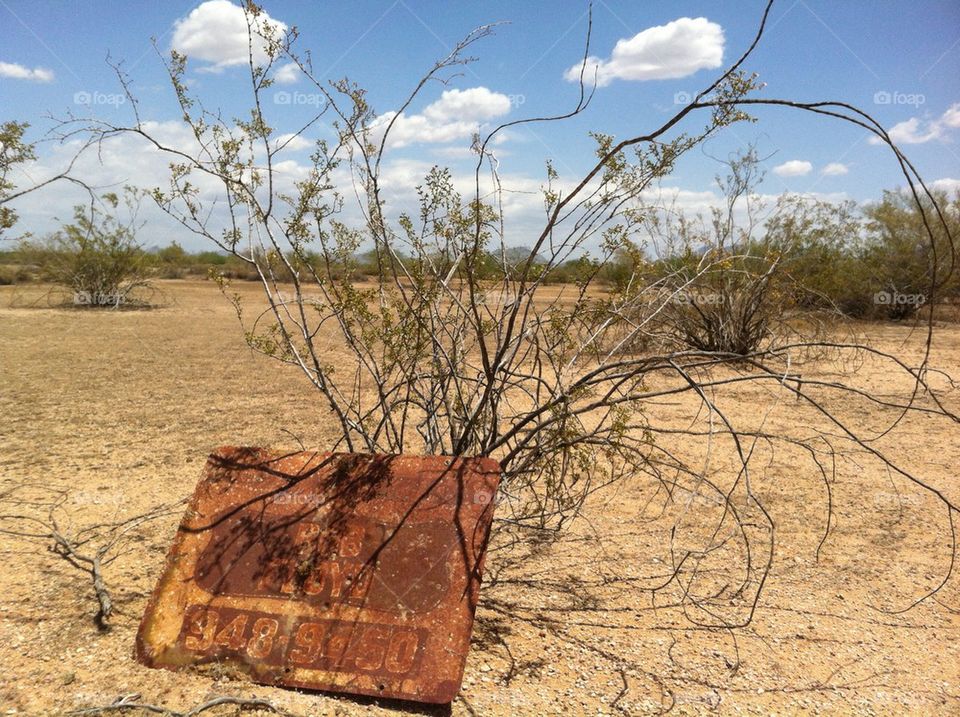 Desert, old sign, dry