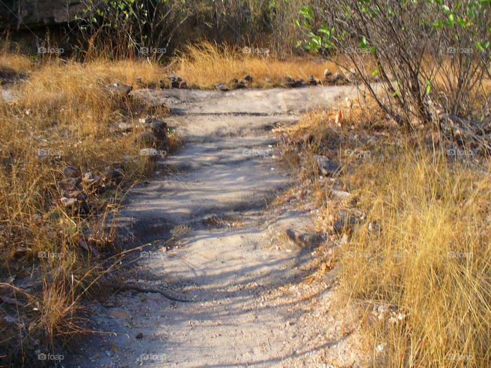 Landscape, No Person, Water, Nature, Outdoors