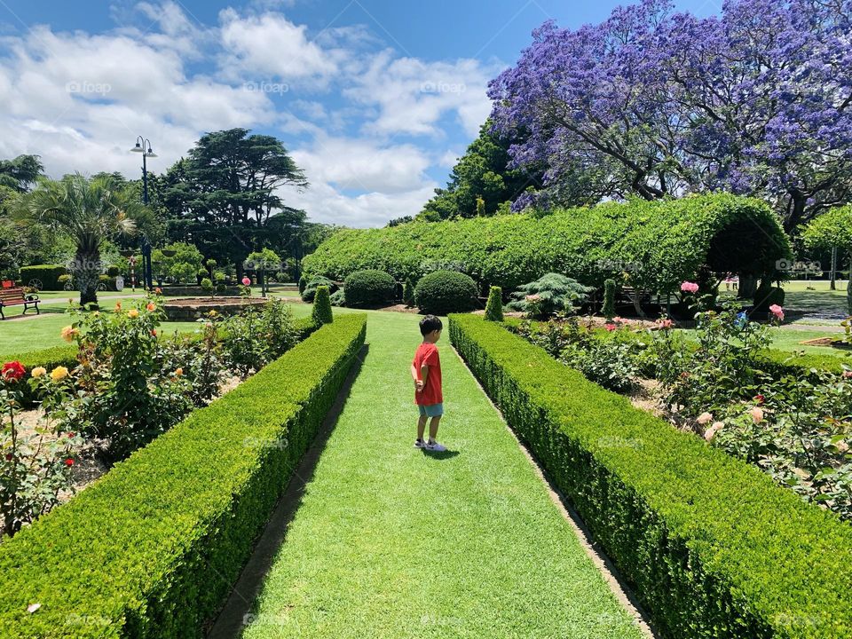 “For the LORD shall comfort Zion: he will comfort all her waste places;and he will make her wilderness like Eden, and her desert like the garden of the LORD.”~Isaiah 51