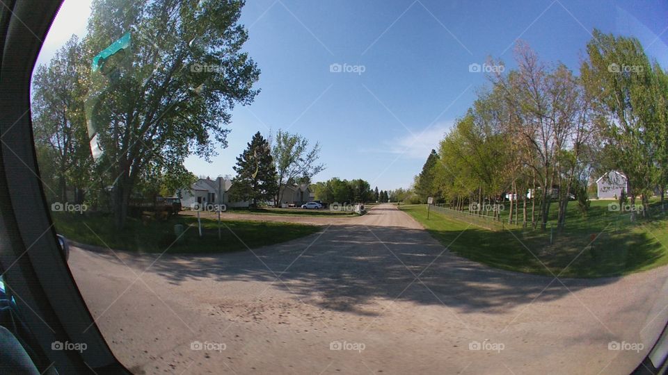 Tree, Road, Landscape, No Person, Guidance