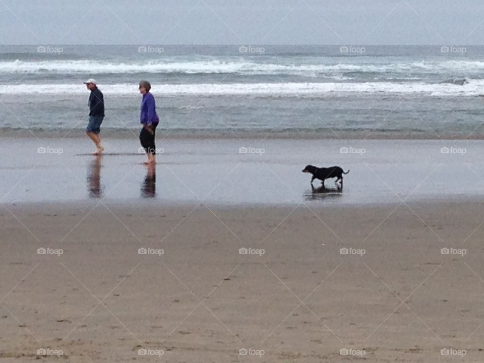 Beach, Sea, Sand, Seashore, Ocean