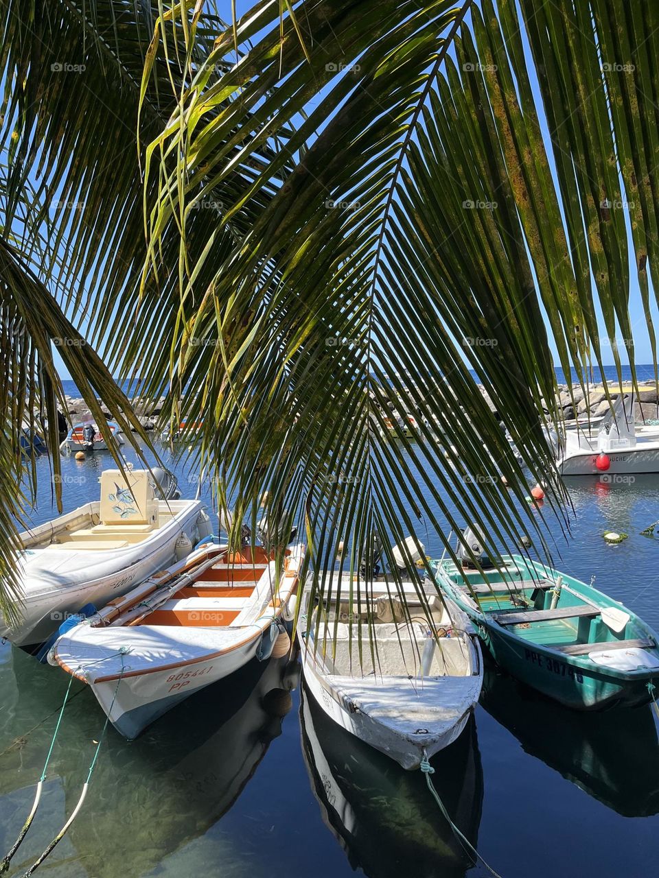 View of small colorful boats moored with tropical palm trees in the foreground
