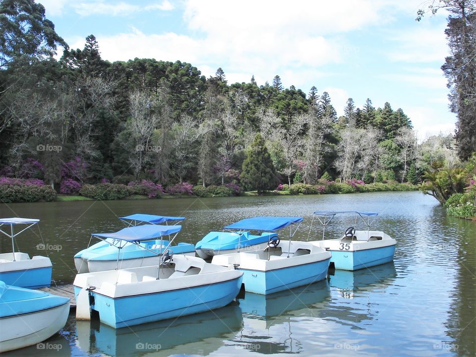 Pedalinhos no lago/Pedal boats on the lake.