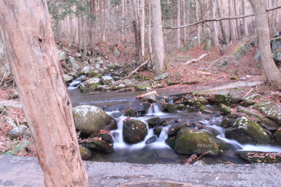 Roaring Forks stream