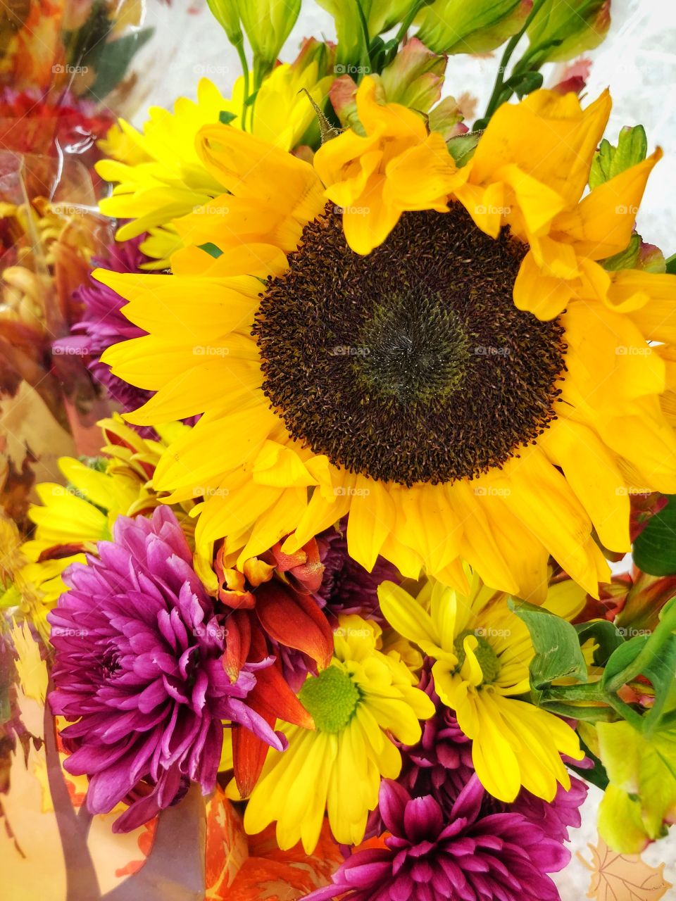Colorful Fall flowers are nice on a snowy winter day even at a grocery store.   