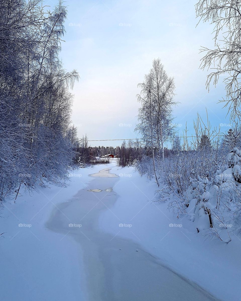 Beautiful day in winterland