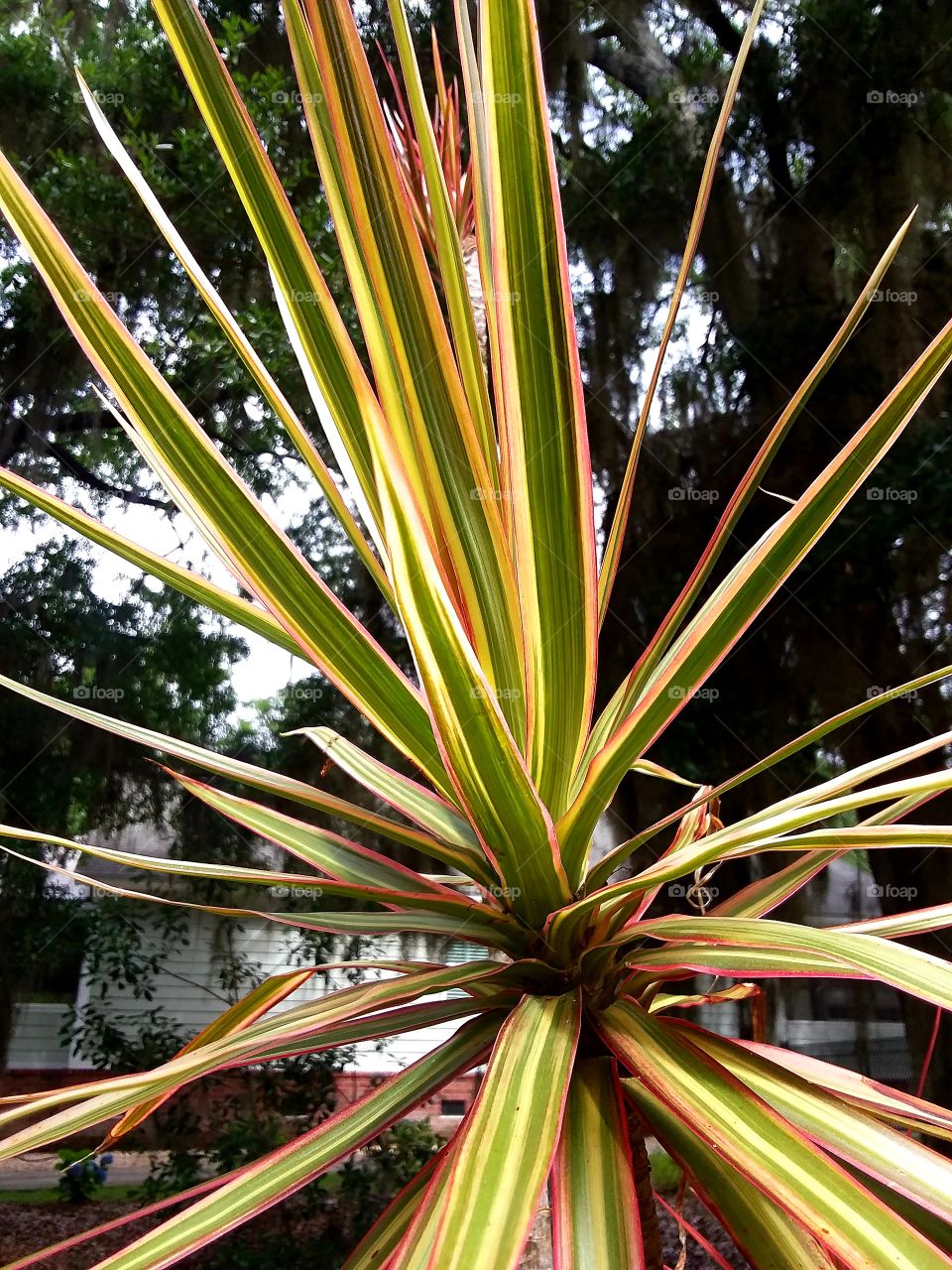 the rains brought new growth and vibrant color nature all around!