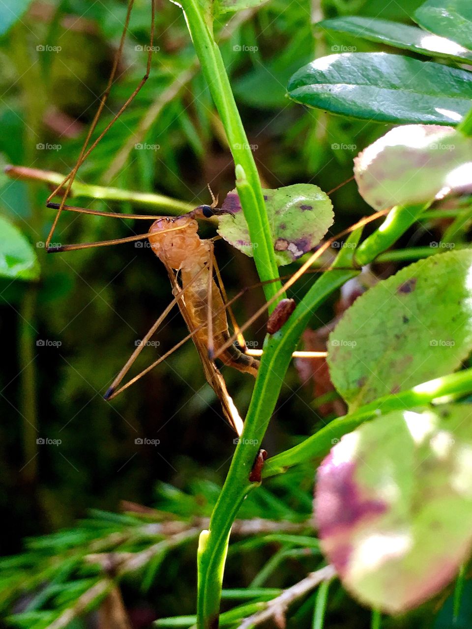 Captured with iPhone 6s Plus 