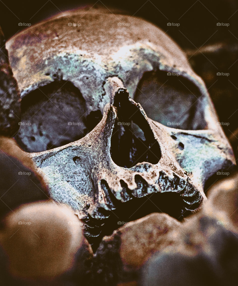 A human skulls stares out from a pile of bones