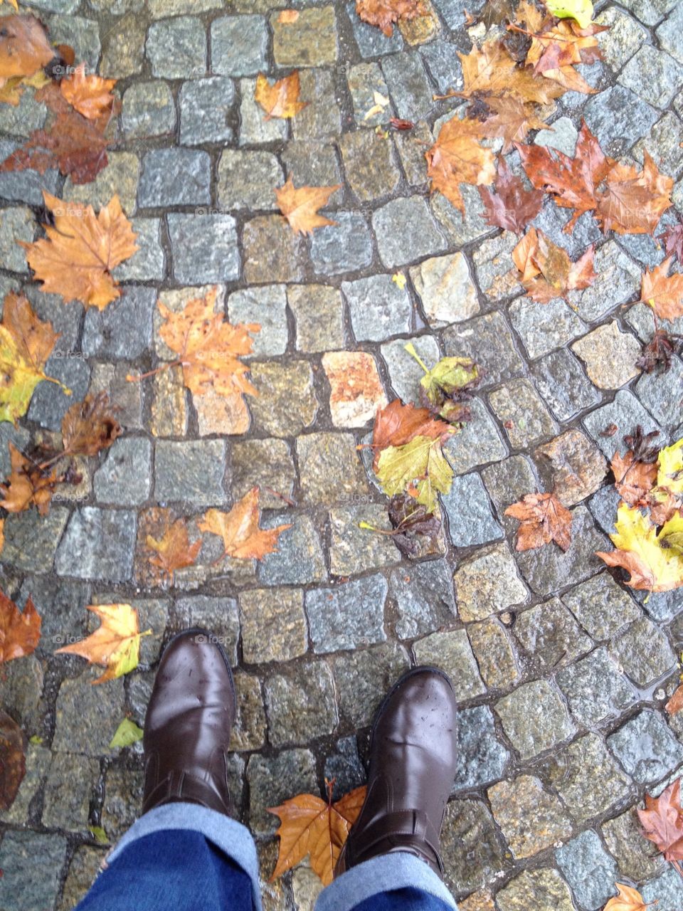 Leaves and feet, Laveno Mombello, Italy, October 2014