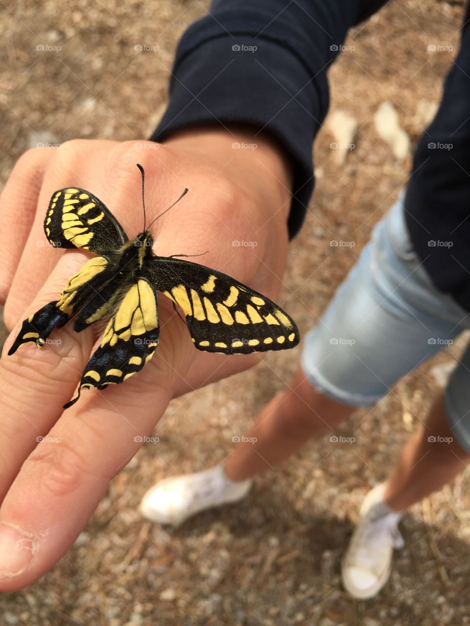 Yellow Wings. Little sis rescuing a butterfly. 