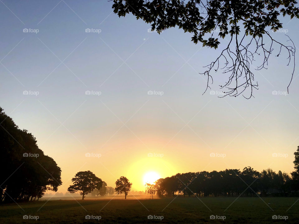 Sunny silhouettes of trees on a Countryside sunrise landscape 
