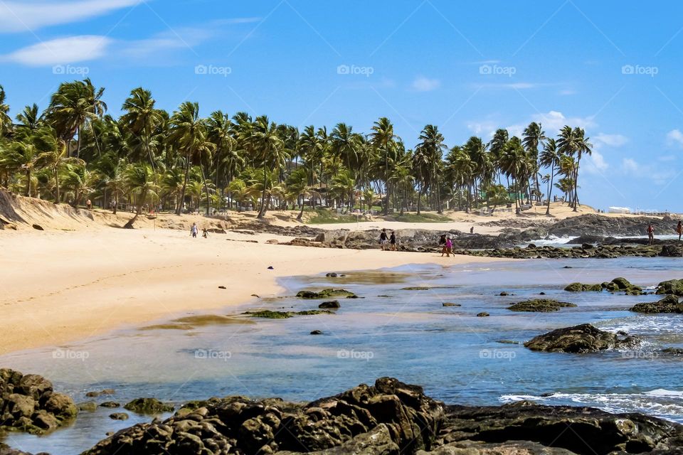 Paradise beach in Brazil