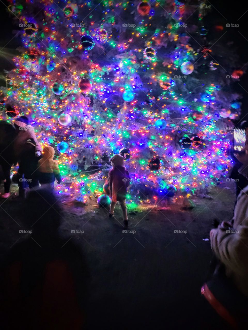 Joy at Christmas time