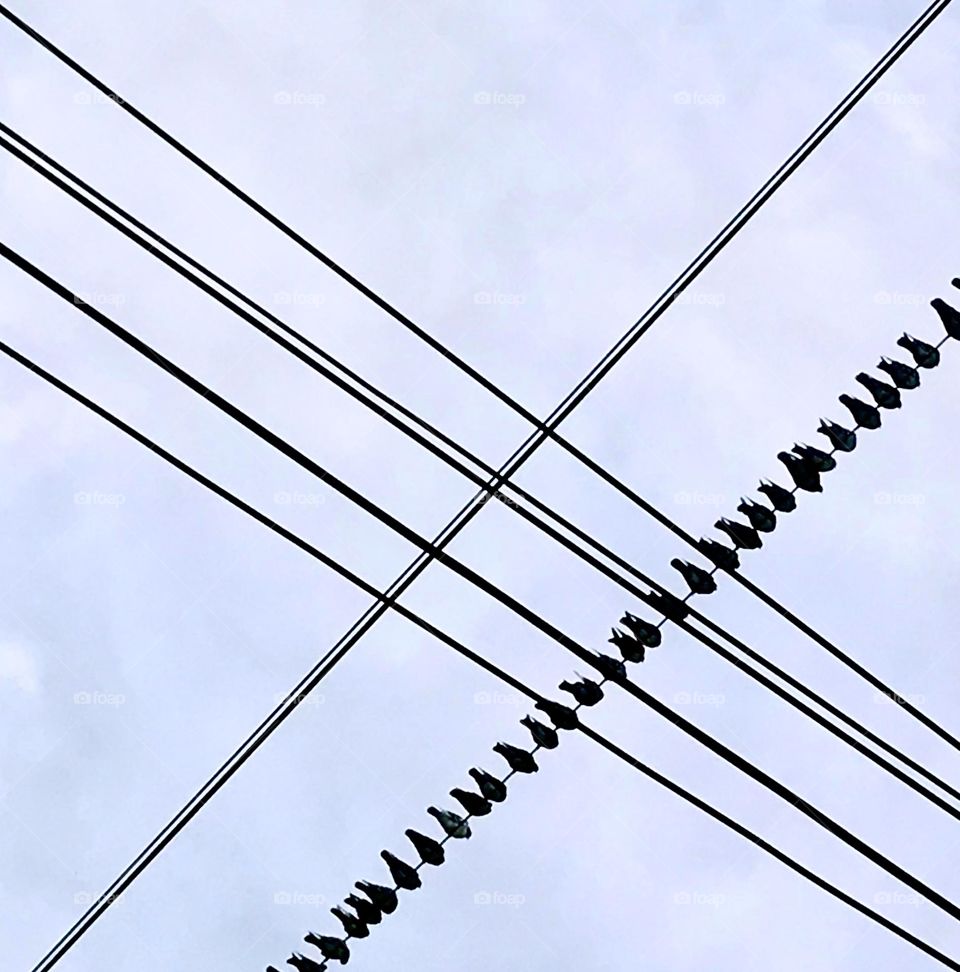 Triangles Geometry power lines