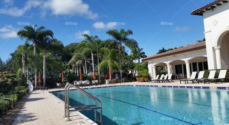 Luxury, Hotel, Swimming Pool, Resort, Dug Out Pool