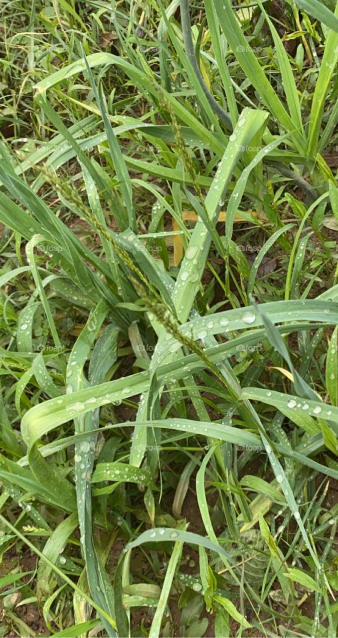 Beautiful weather, nice view in albaha city 