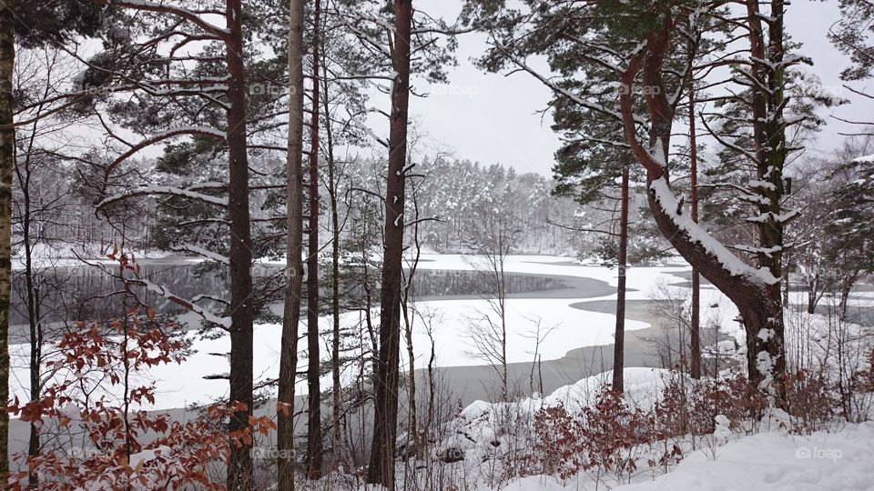 Scenic view of lake in winter