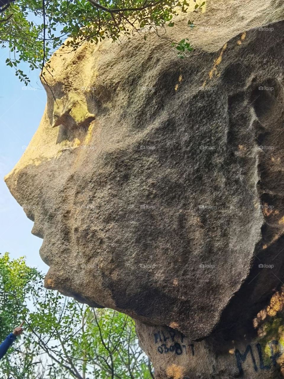 Stone Face