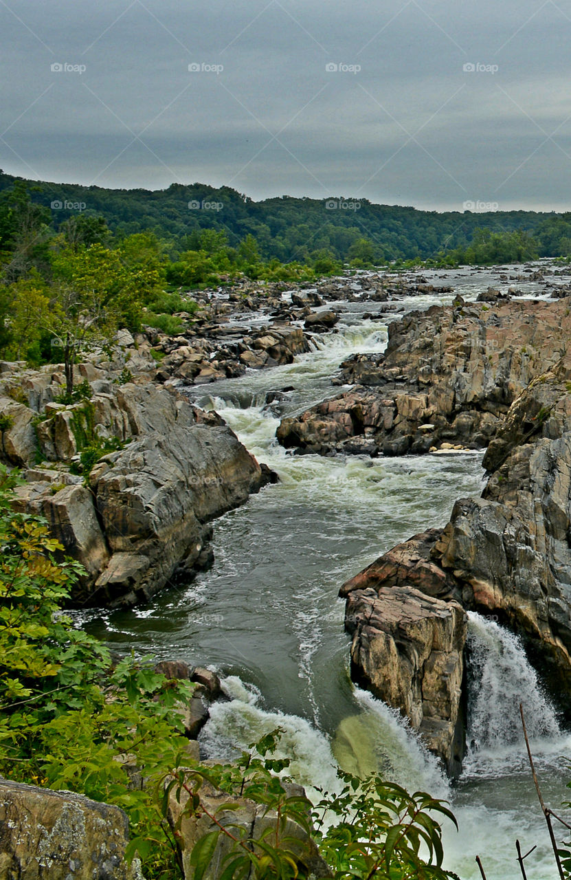 Water, Water, everywhere! I just happen to be fortunate enough to live in a state that has approximately 12,000 square miles of beautiful, refreshing, colorful oceans, rivers, lakes, ponds and swamps!