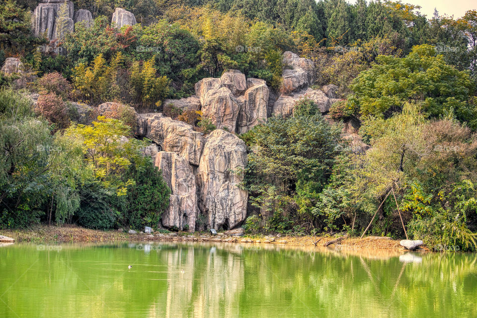 风景