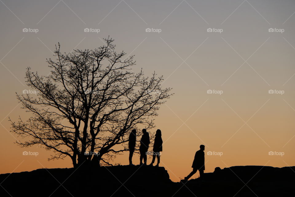 Friends under the tree on dusk , one leaving .. Silhouettes against orange background 