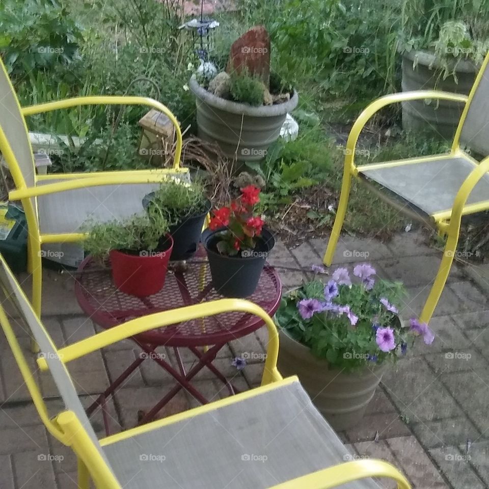 Repainted Garden Chairs
